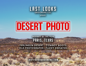 Desert Photo (Inspired by Paris, Texas)
